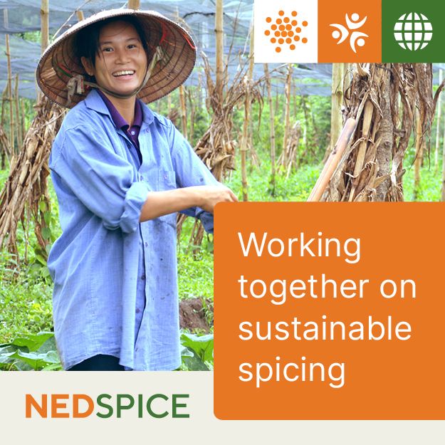 Nedspice adv 300x300 DEF