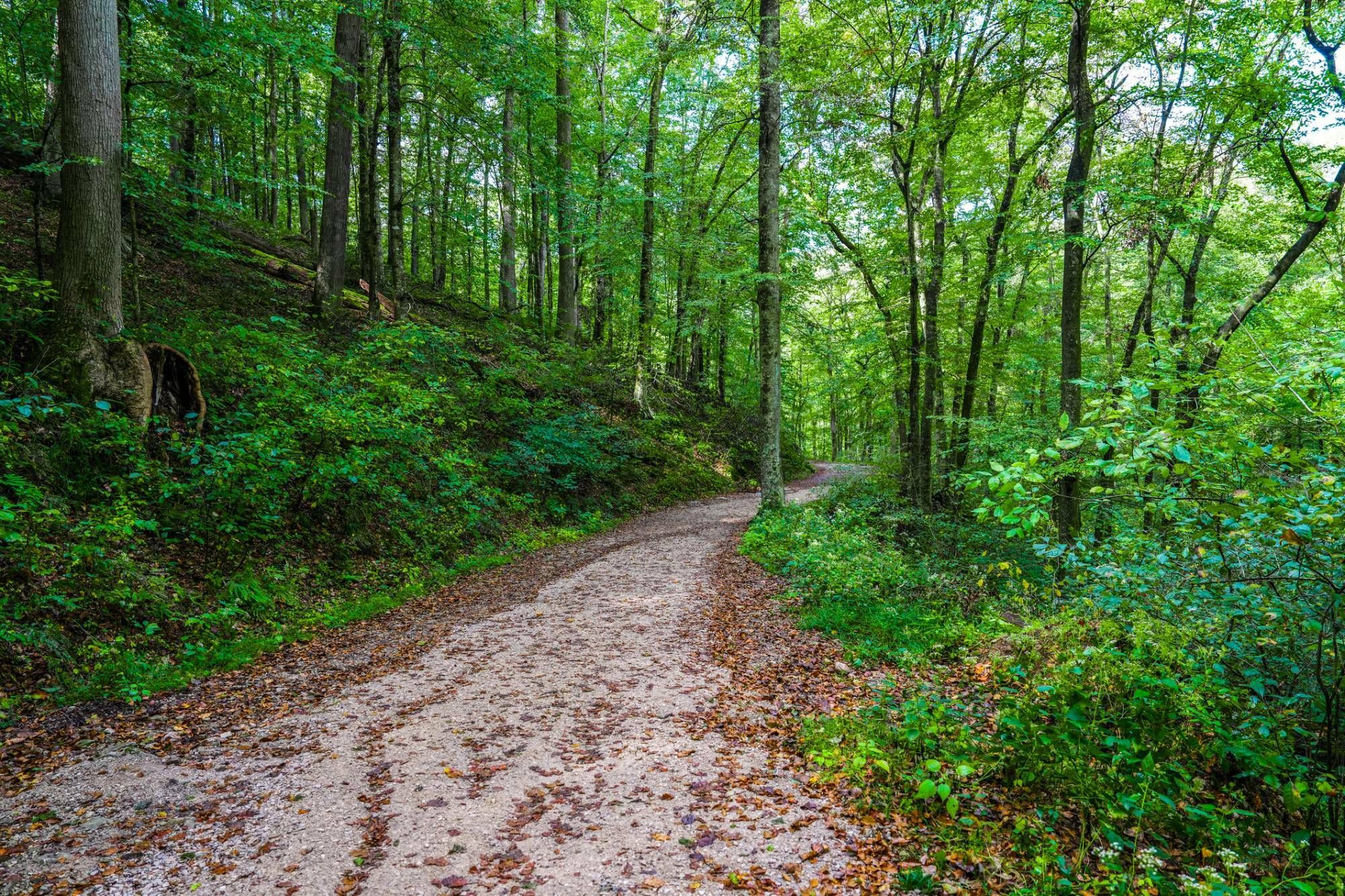 Land in kentucky