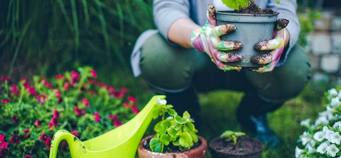 Flourishing with chronic illness