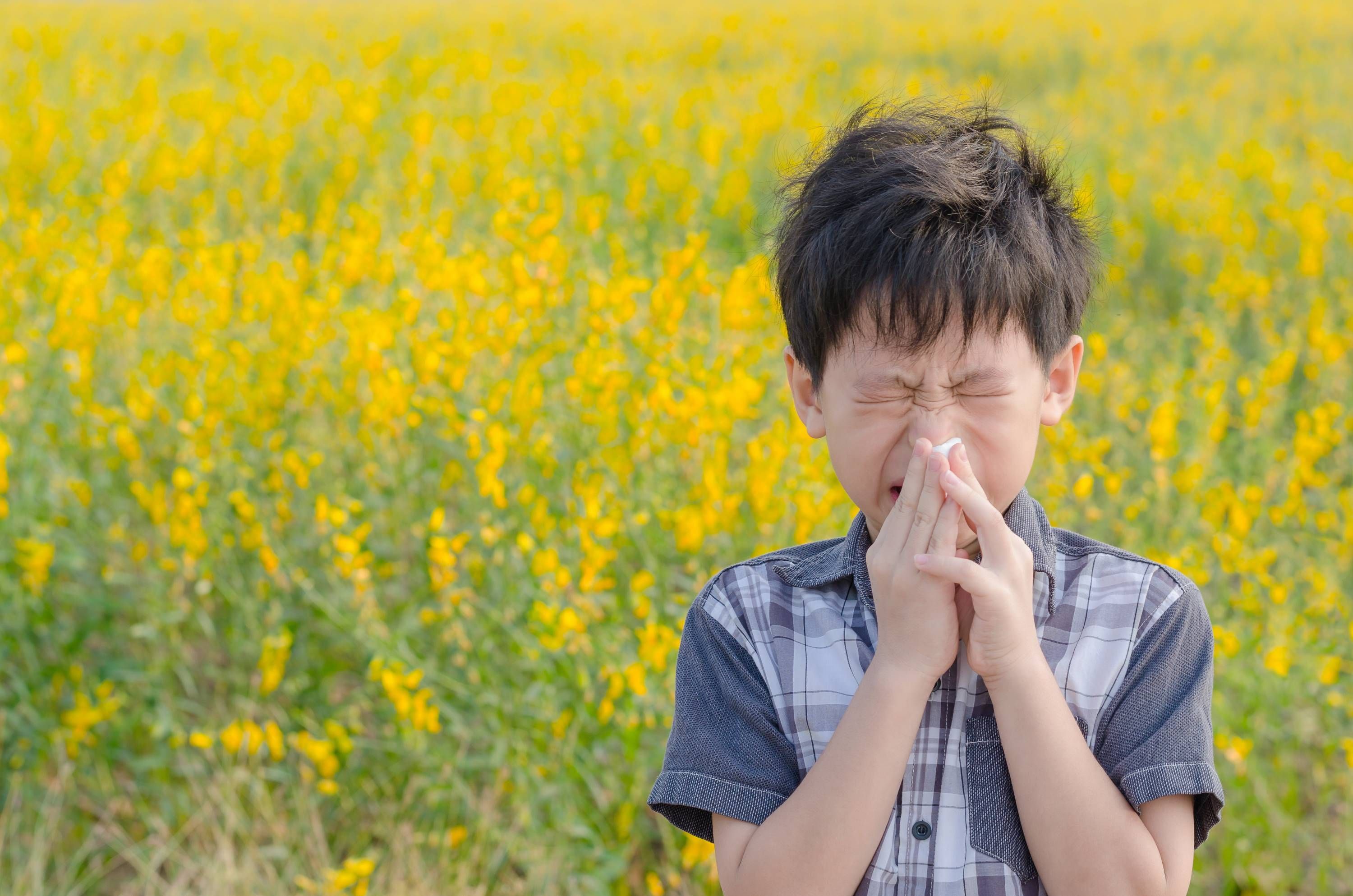 Boy with allergies in a field of flowers