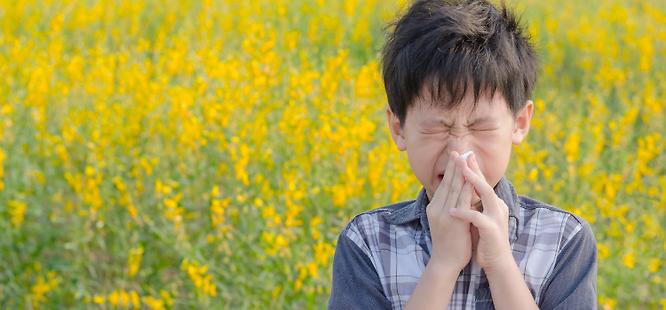 Boy with allergies in a field of flowers