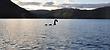 Loch ness monster myth