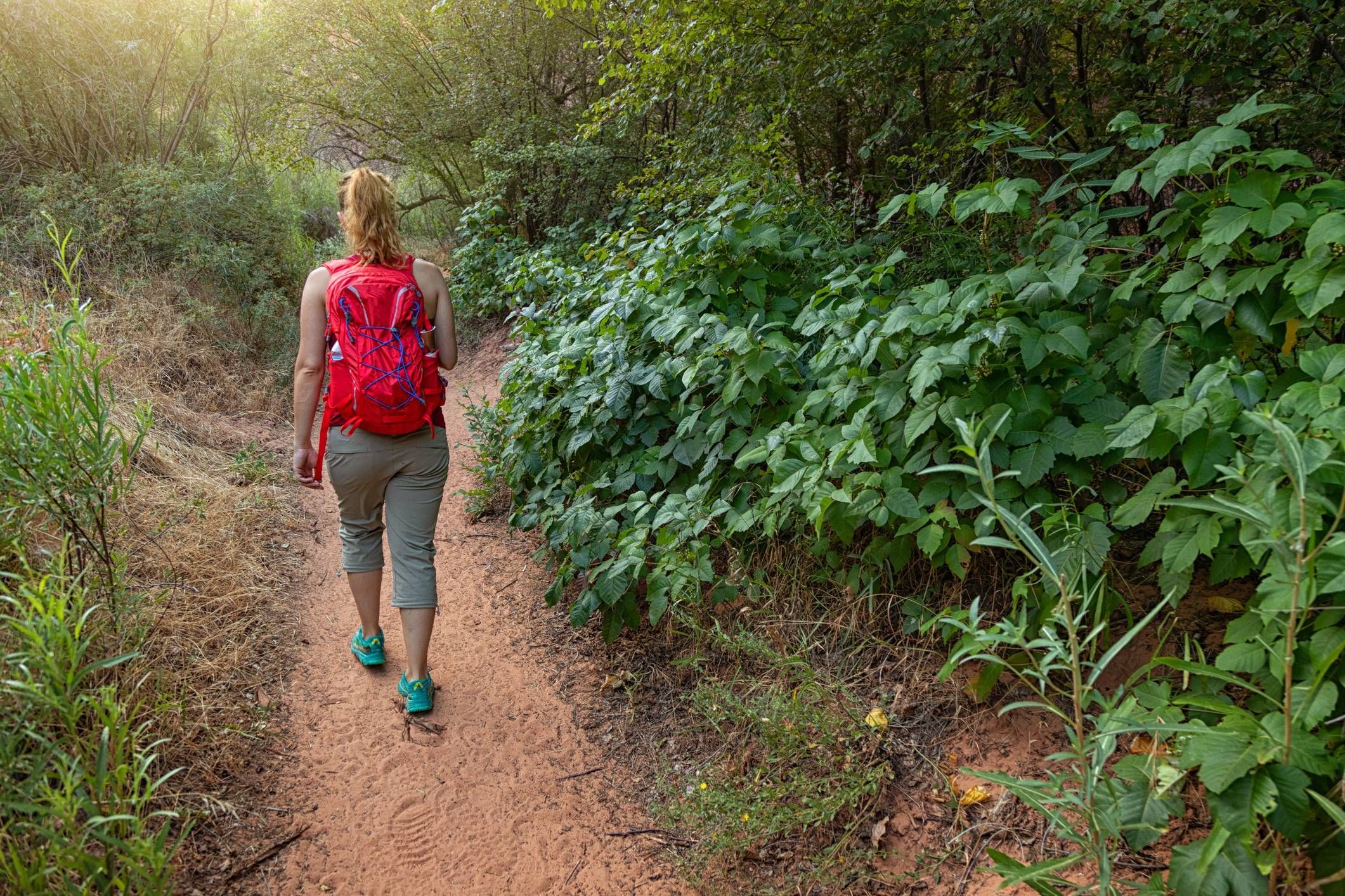 Woman hiking and avoiding poison plants in alabama