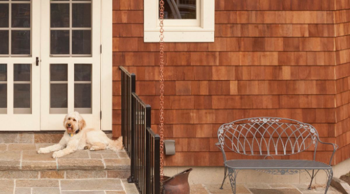 Project Grid Image 2x