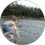 Dawg Fan Google profile photo