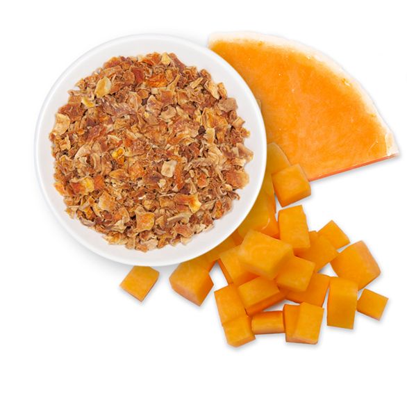 Butternut Squash Featured R