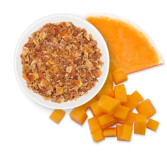 Butternut Squash Featured R