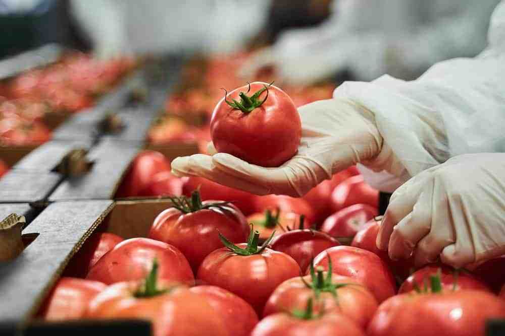 Consistency and Quality