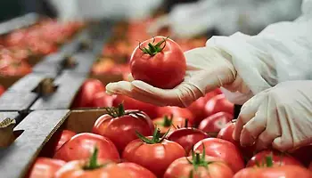 Consistency and Quality