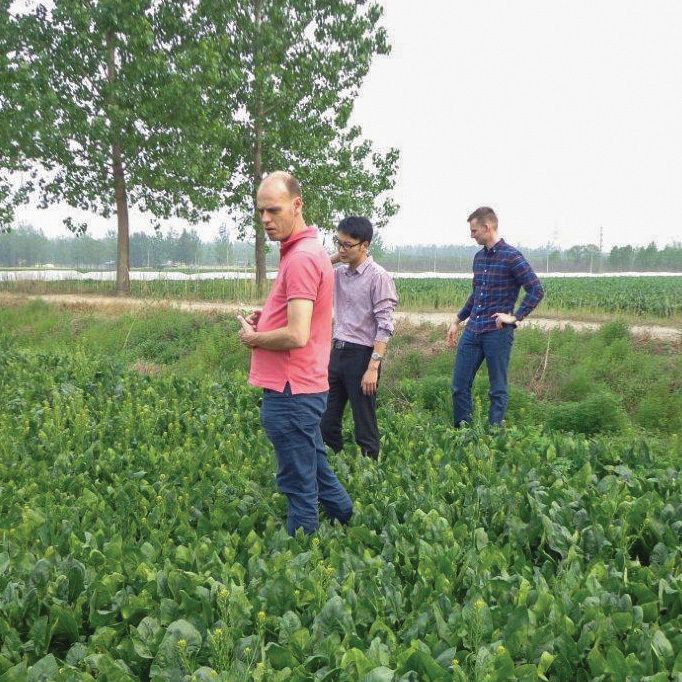 Field and Facility Audits