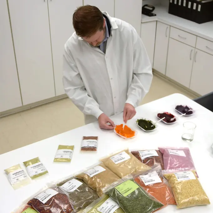 HP Quality Standards