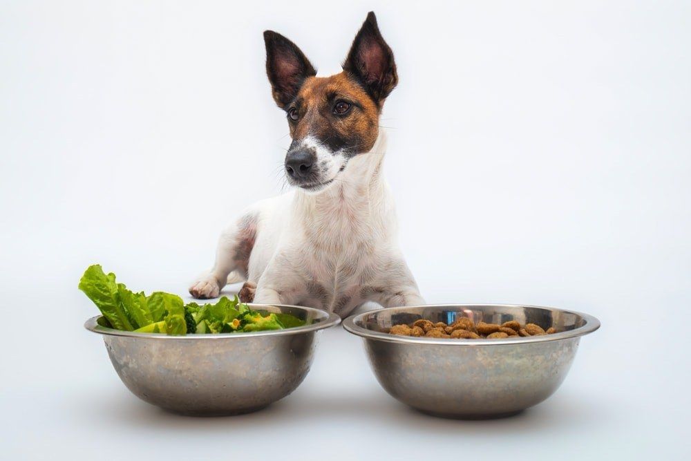 Plant Based Products R