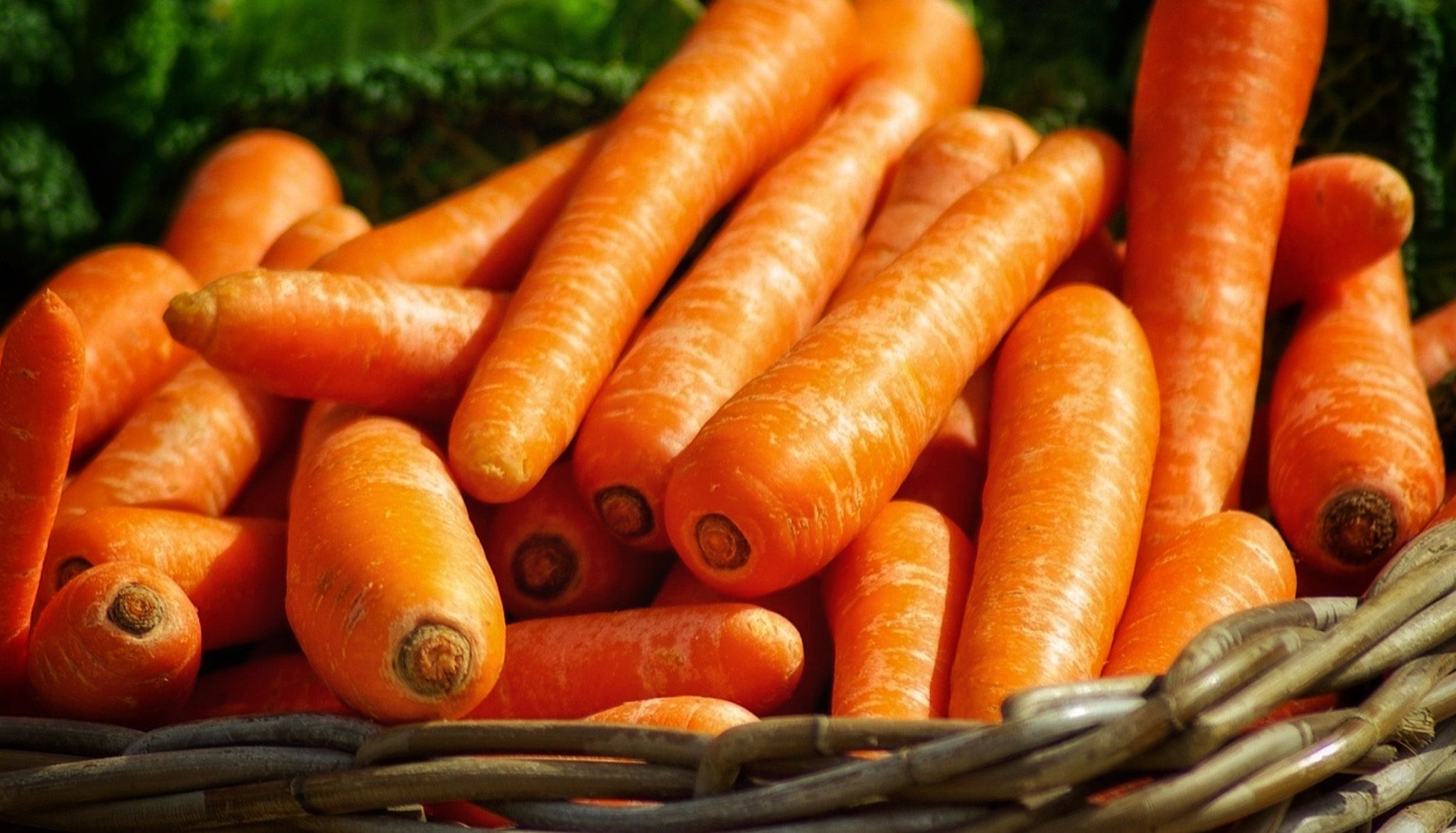 Carrots Benefits