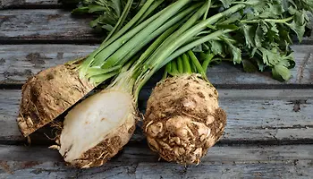 Celeriac Explained