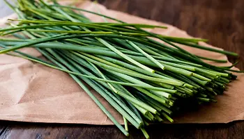 Chives vs Green Onions