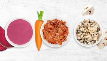 Dehydrated Foods Rev