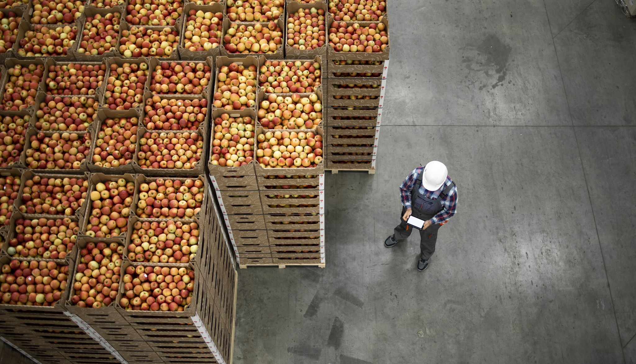 Finished Good Processing