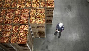 Finished Good Processing