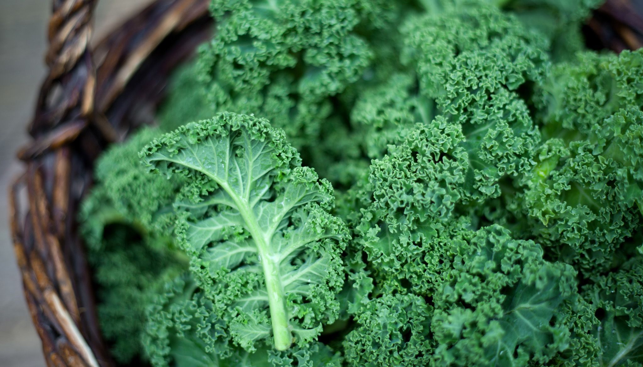 Kale Powder Benefits
