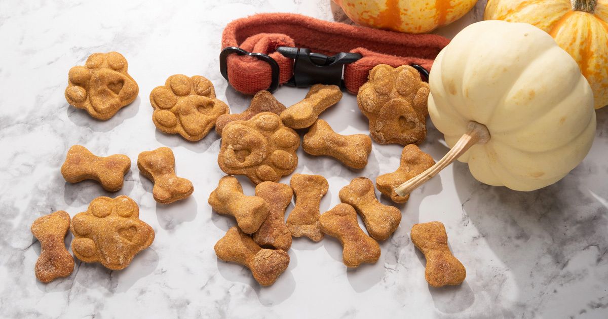 New Petfood Industry