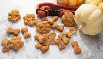 New Petfood Industry