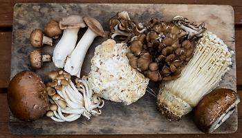 Nutritional Benefits of Mushrooms