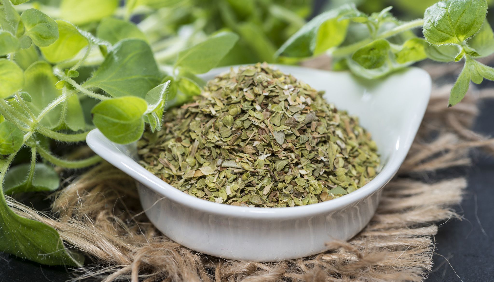 Oregano Spice Benefits