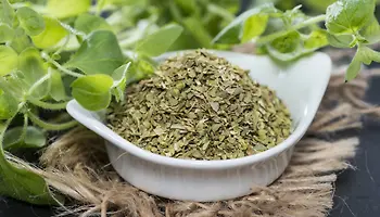 Oregano Spice Benefits