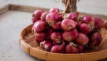 Shallots Nutrition