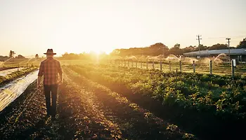 Sustainability Growing Regions