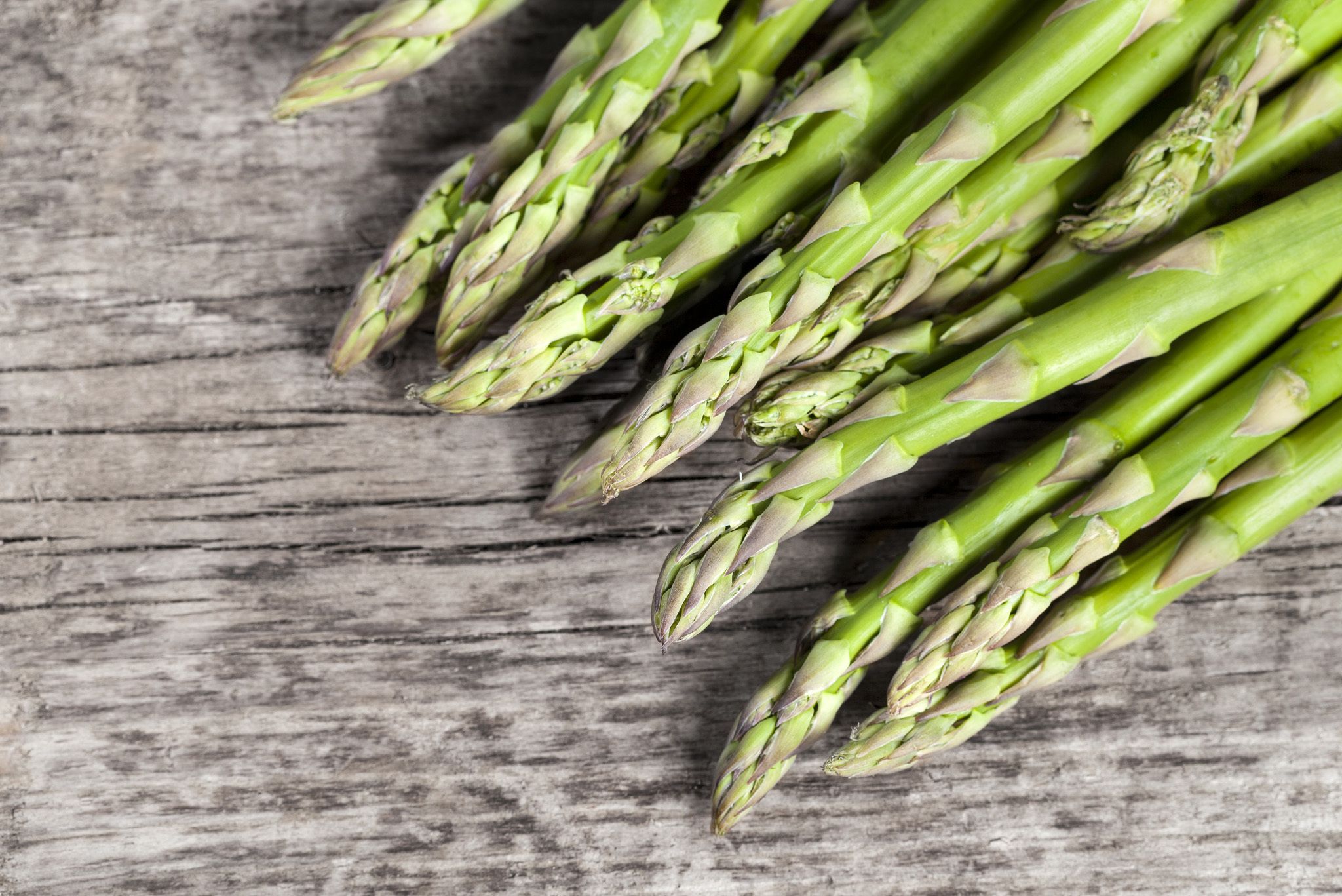 Asparagus Green Hero