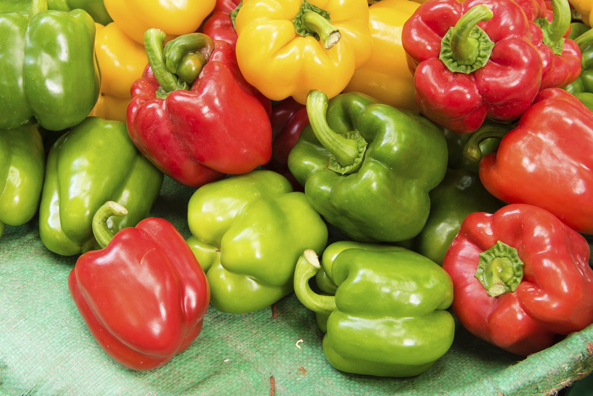 Bell Peppers Field Run Hero