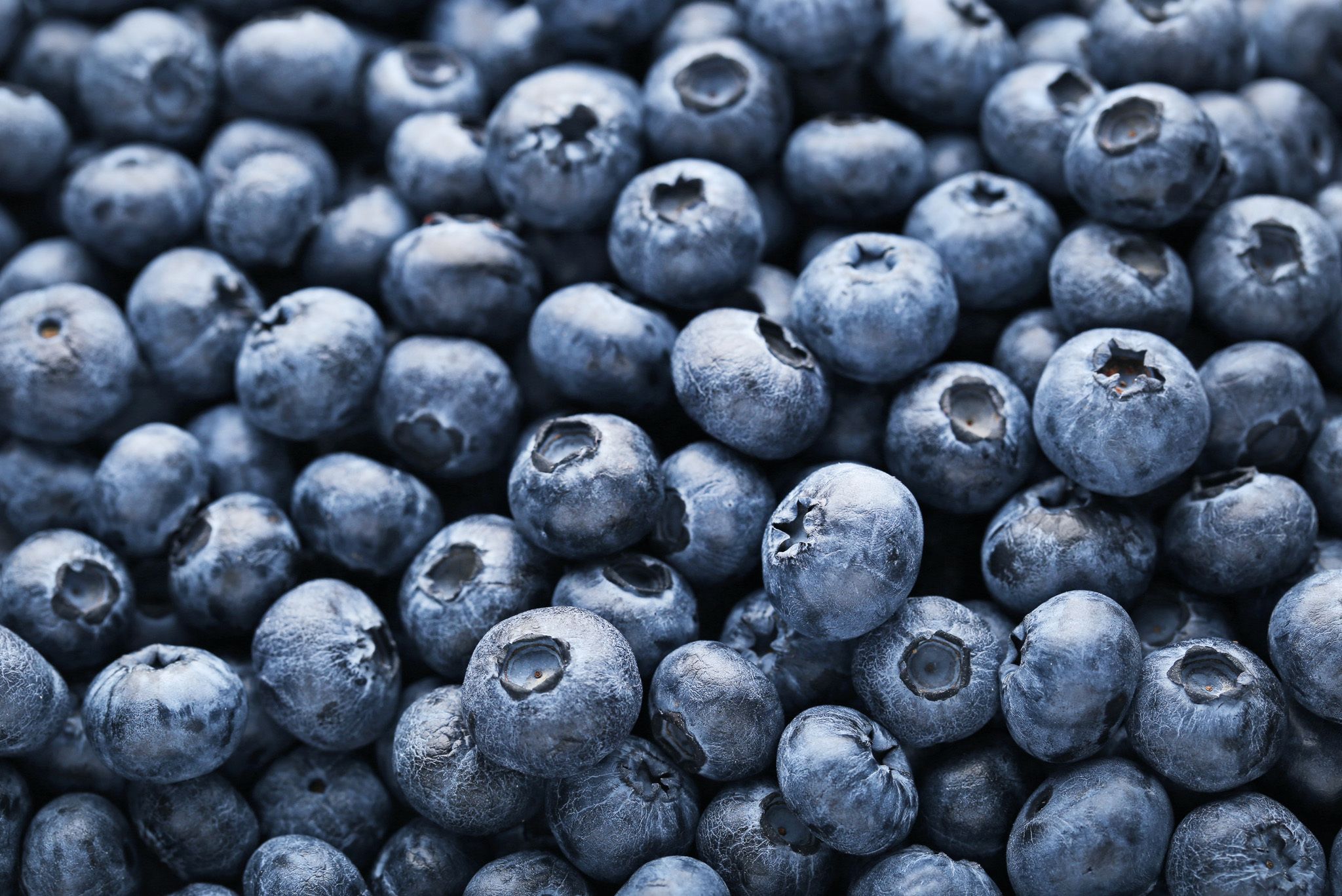 Blueberries All Natural Hero