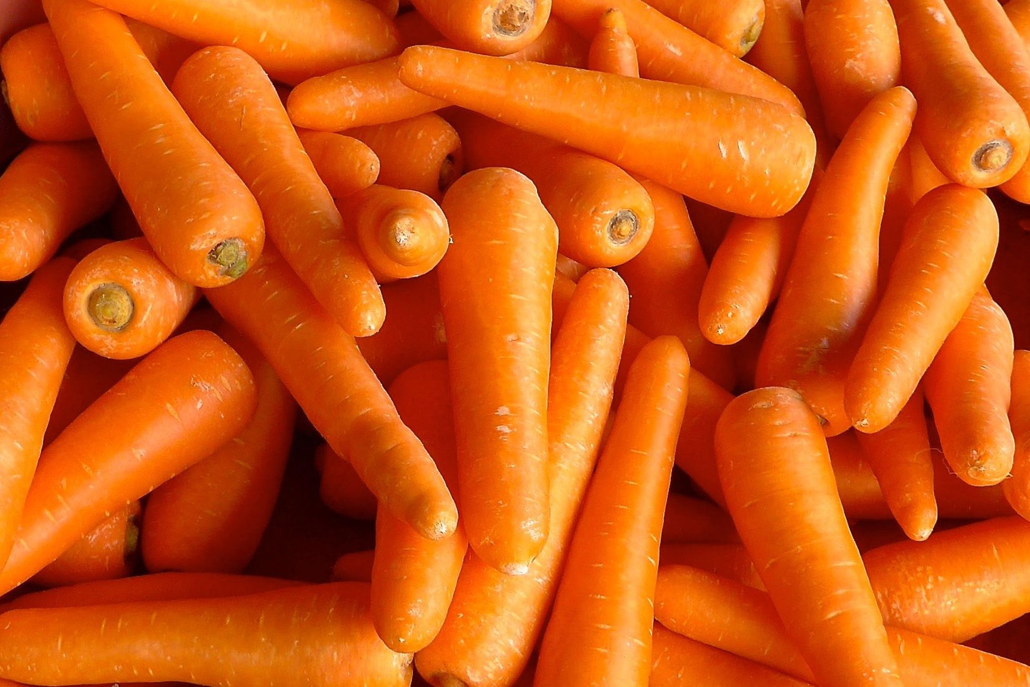 Carrot Puff Dried Hero