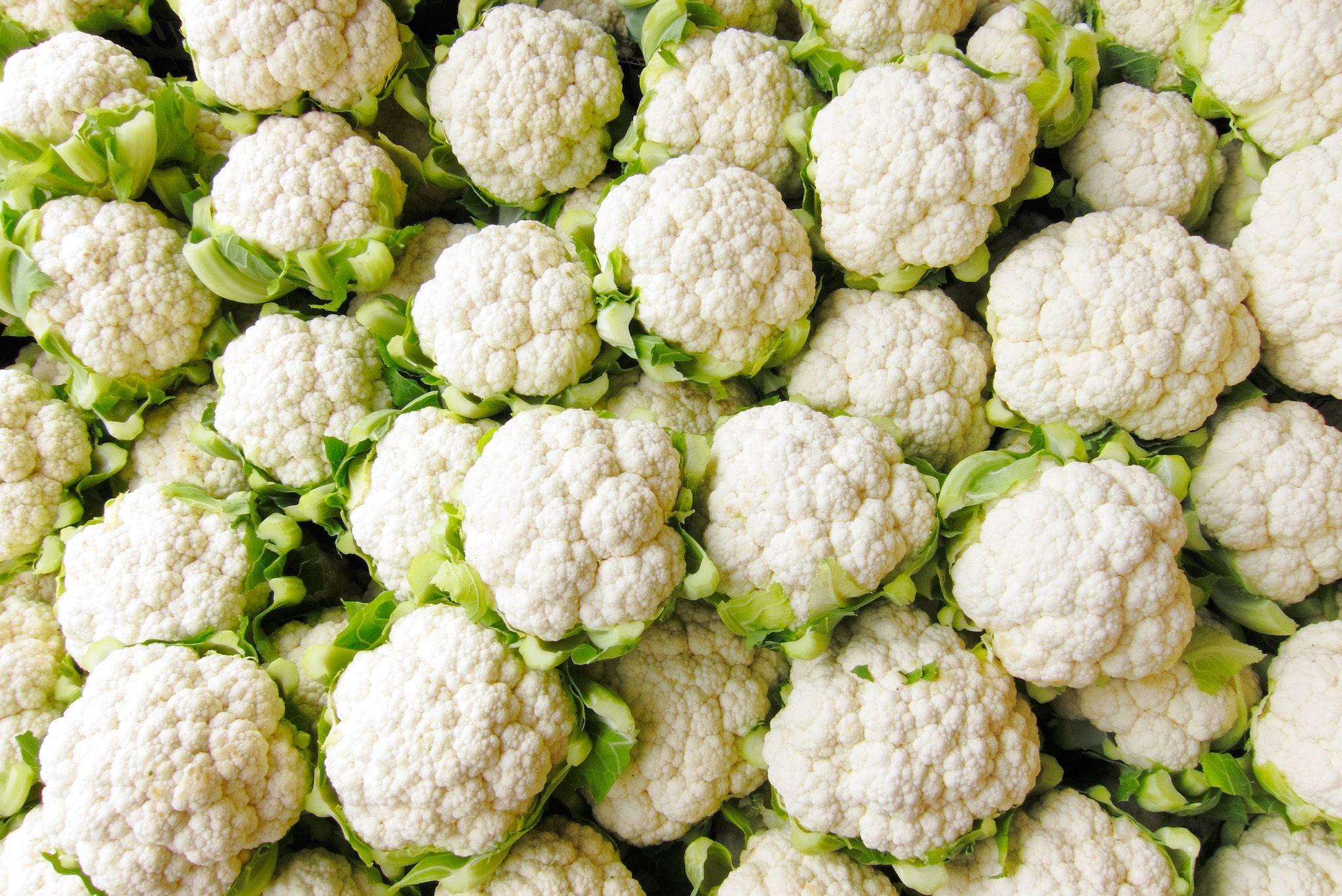 Cauliflower Hero