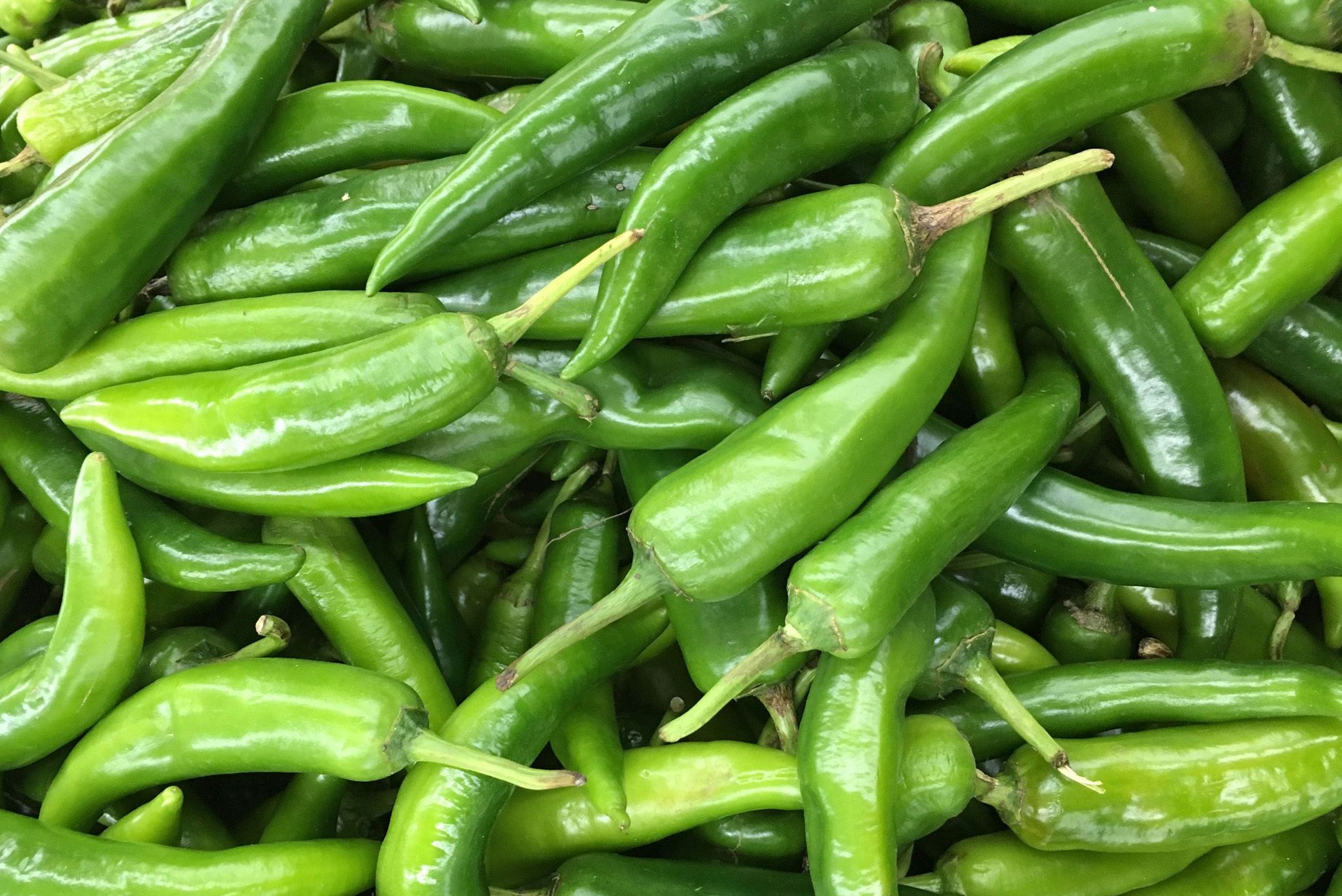 Chile Peppers Green Hero