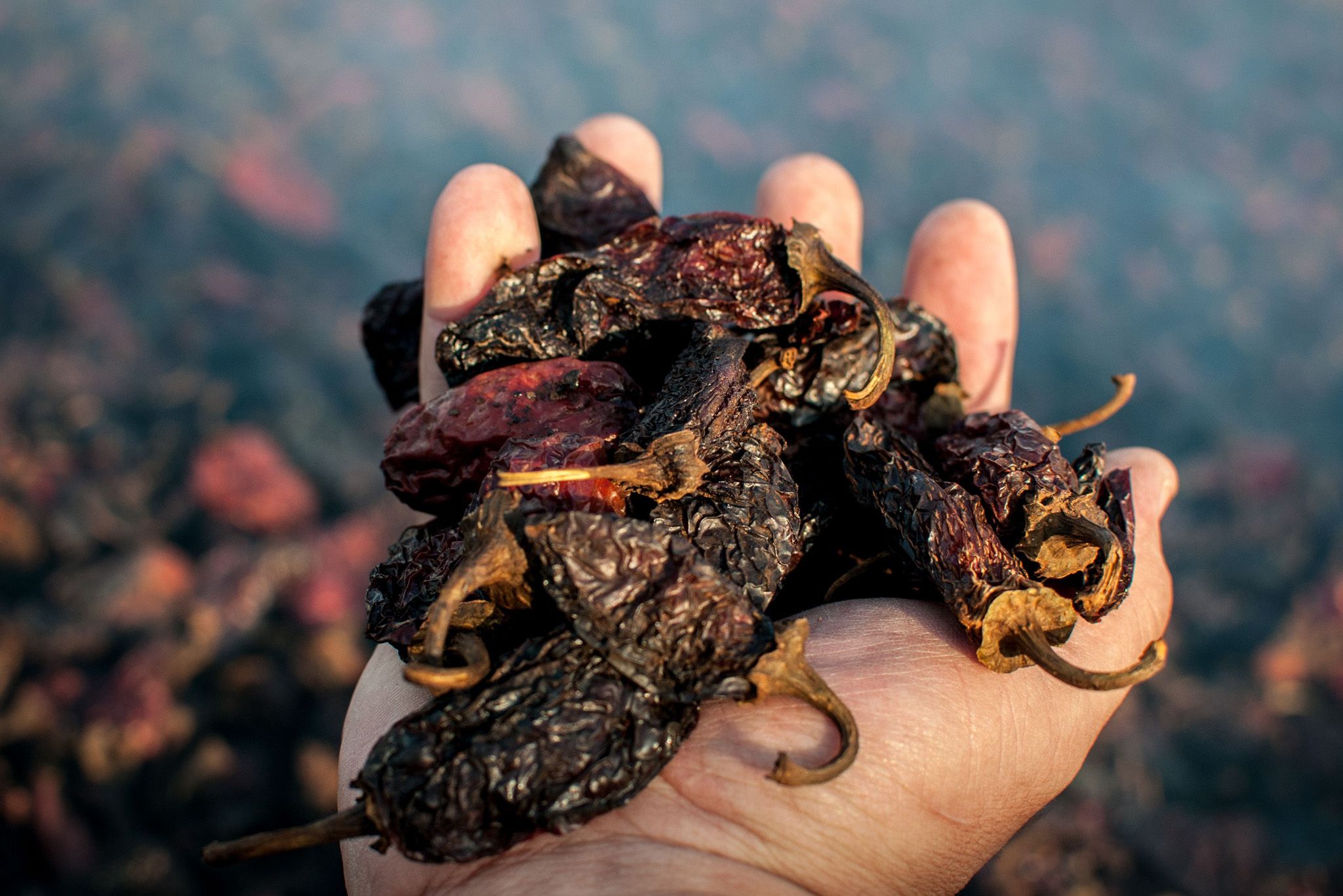 Chipotle Pepper Hero