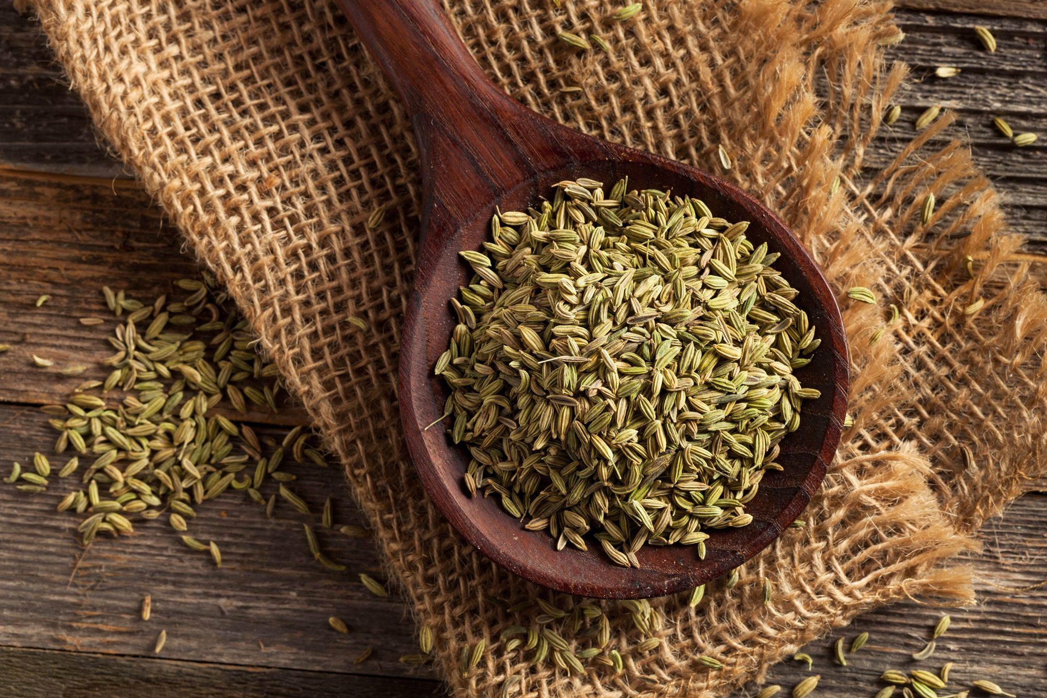 Fennel Seed Hero