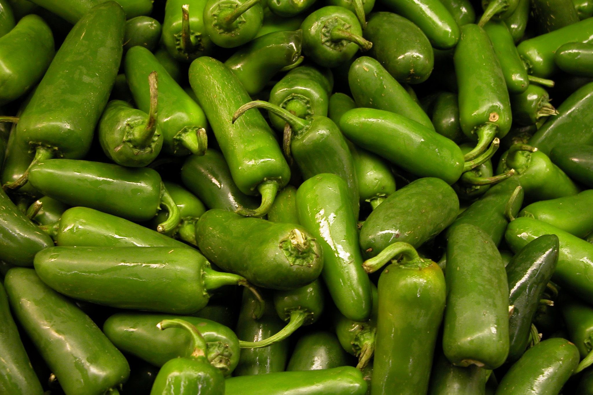Jalapeno Peppers Green Hero