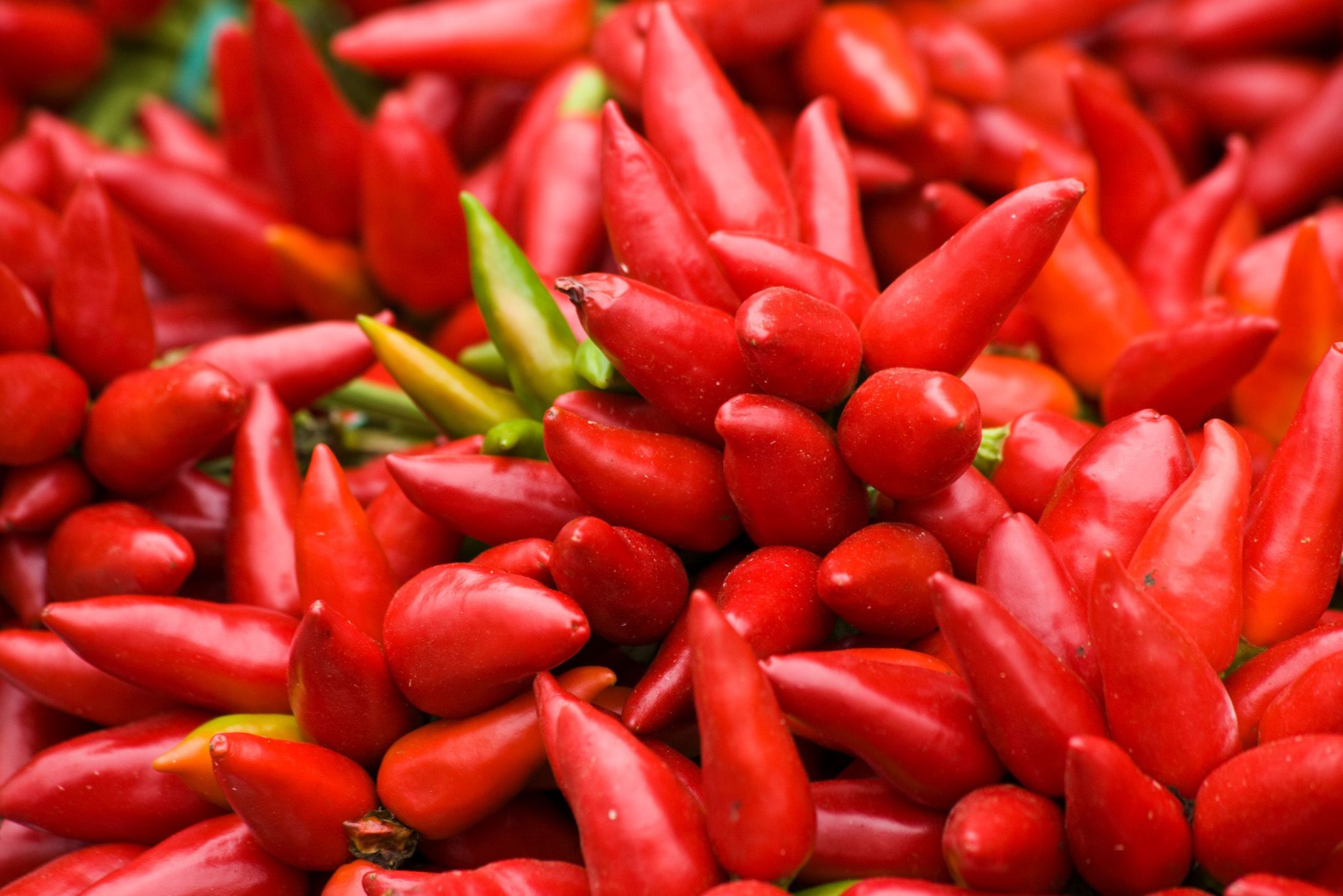 Jalapeno Peppers Red Hero