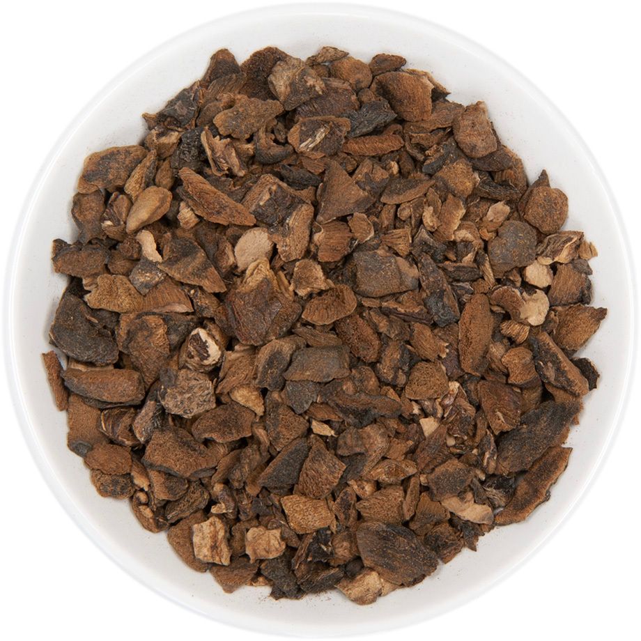 Mushrooms Boletus Luteus Bowl