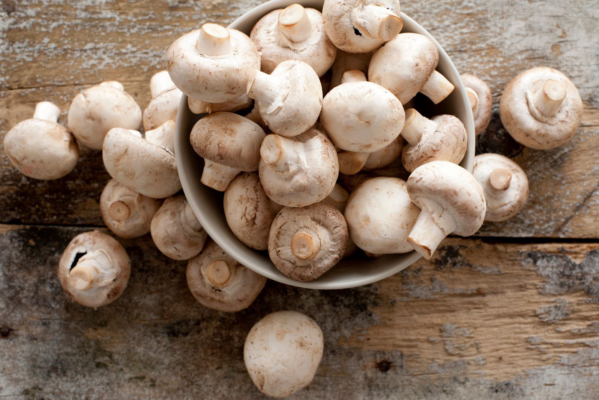 Mushrooms Champignon Hero