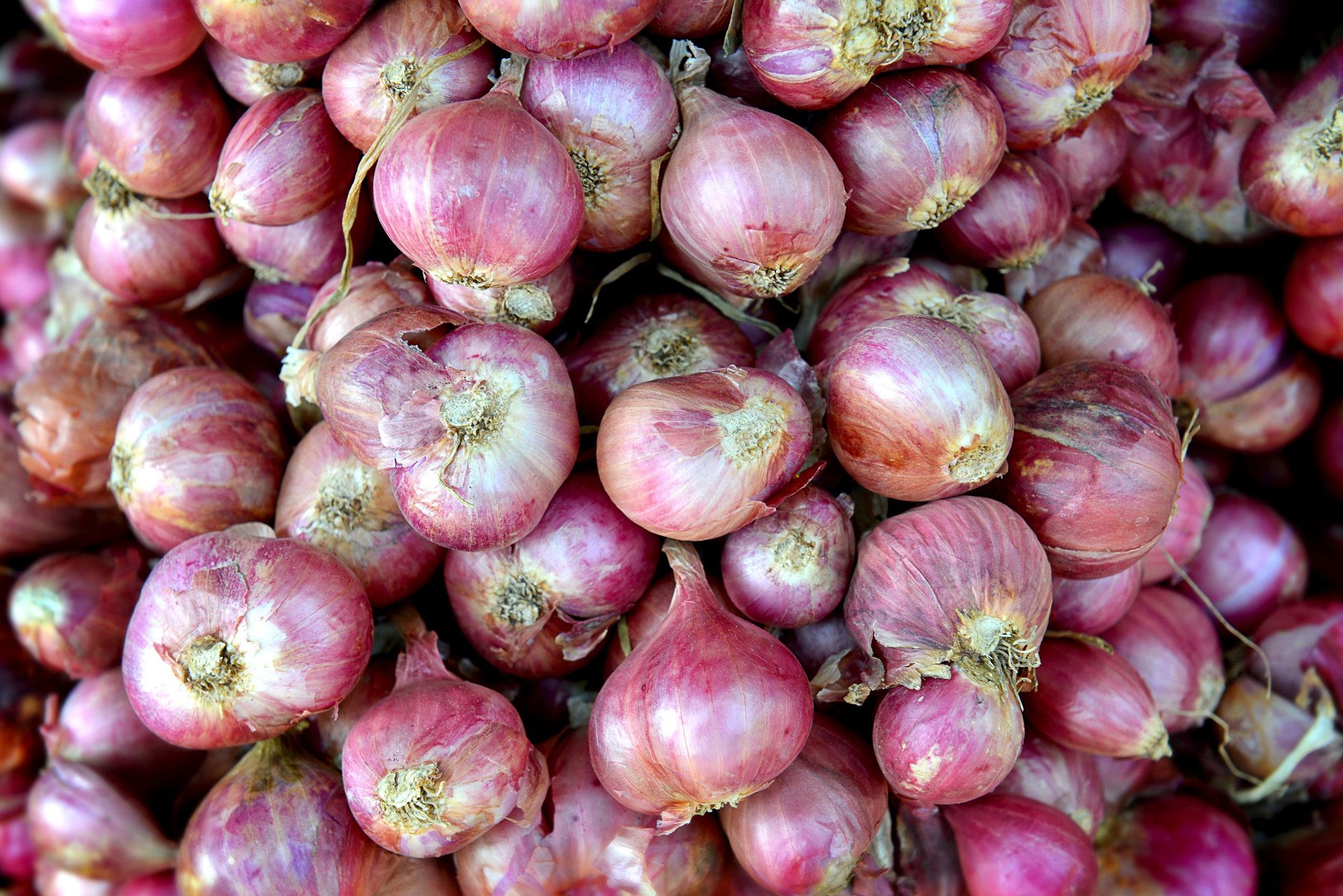 Shallots Hero