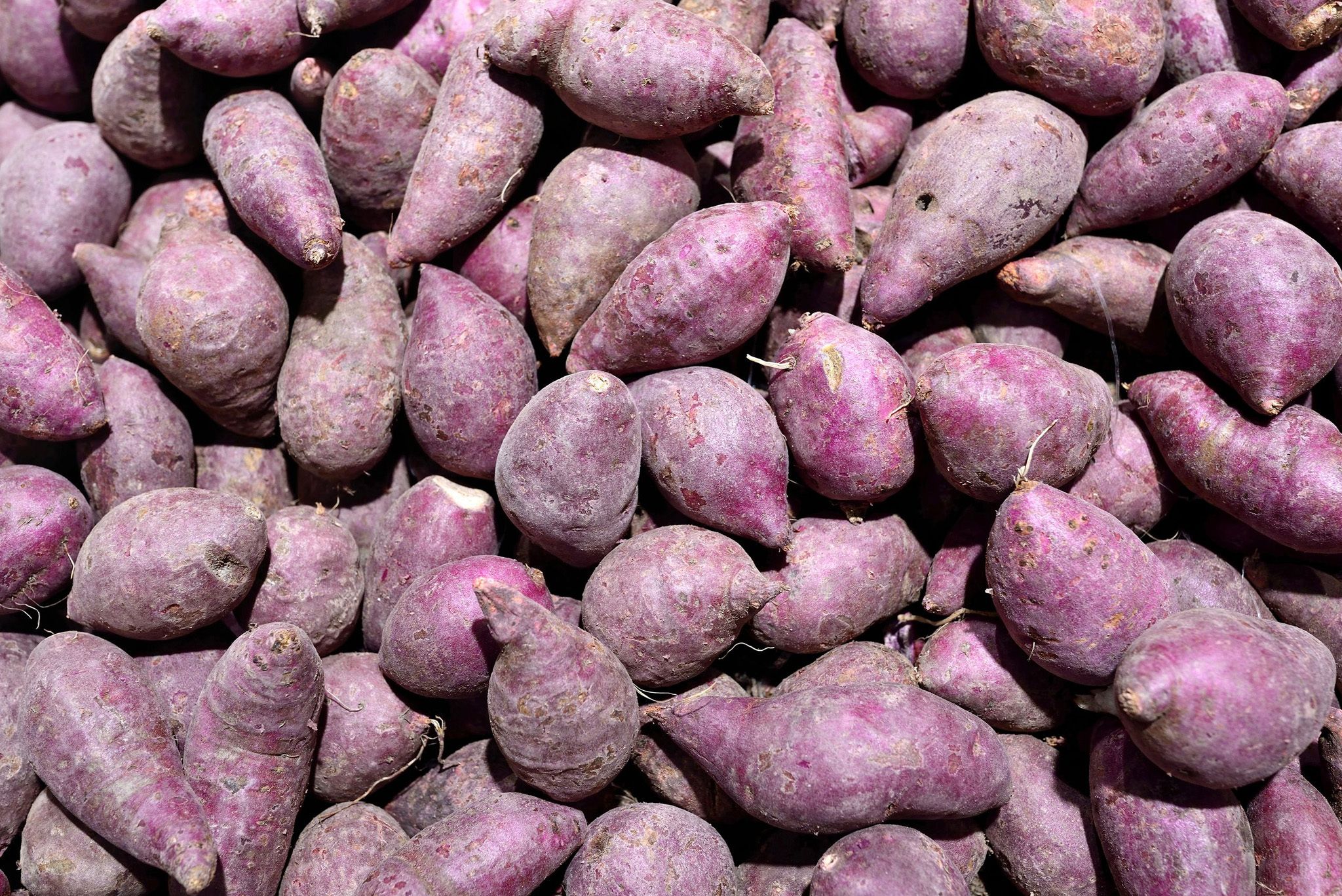 Sweet Potatoes Purple Hero